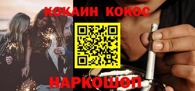 крисы Пенза