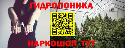 молекула духа Партизанск