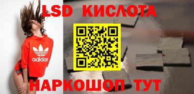 крисы Пенза