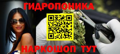 крисы Пенза