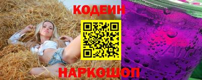 крисы Пенза