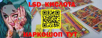 крисы Пенза