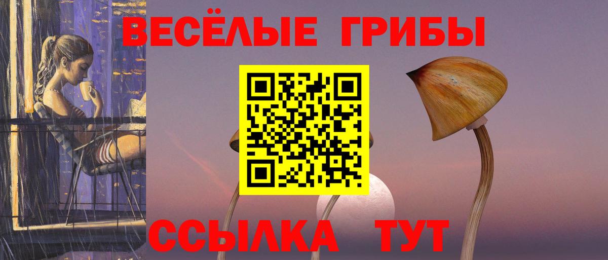 хочу   Псилоцибиновые грибы ЛСД  Псилоцибиновые грибы мицелий  Вход с VPN  Астрахань 